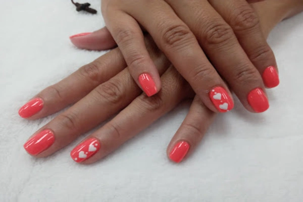 Professional hairdresser in West Palm Beach, FL Professional hairdresser in West Palm Beach, FL